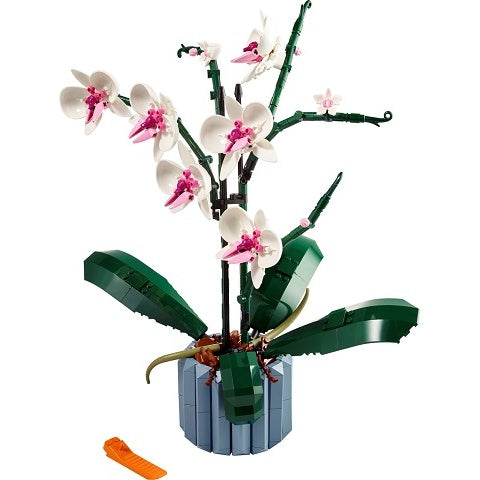 10311 Orchid (Pre-Owned)