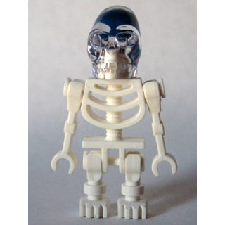 iaj011 Akator Skeleton