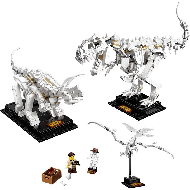 21320 Dinosaur Fossils (Pre-Owned)
