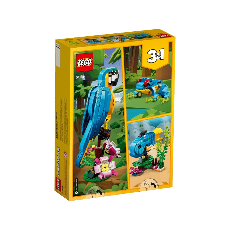 31136 Exotic Parrot
