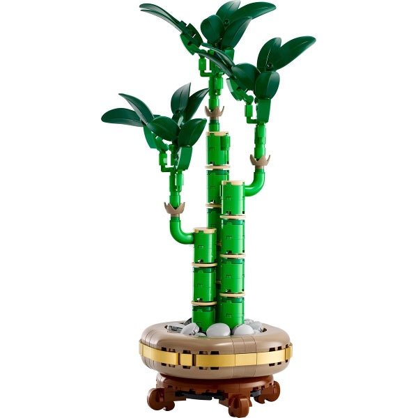 10344 Lucky Bamboo (Pre-Owned)