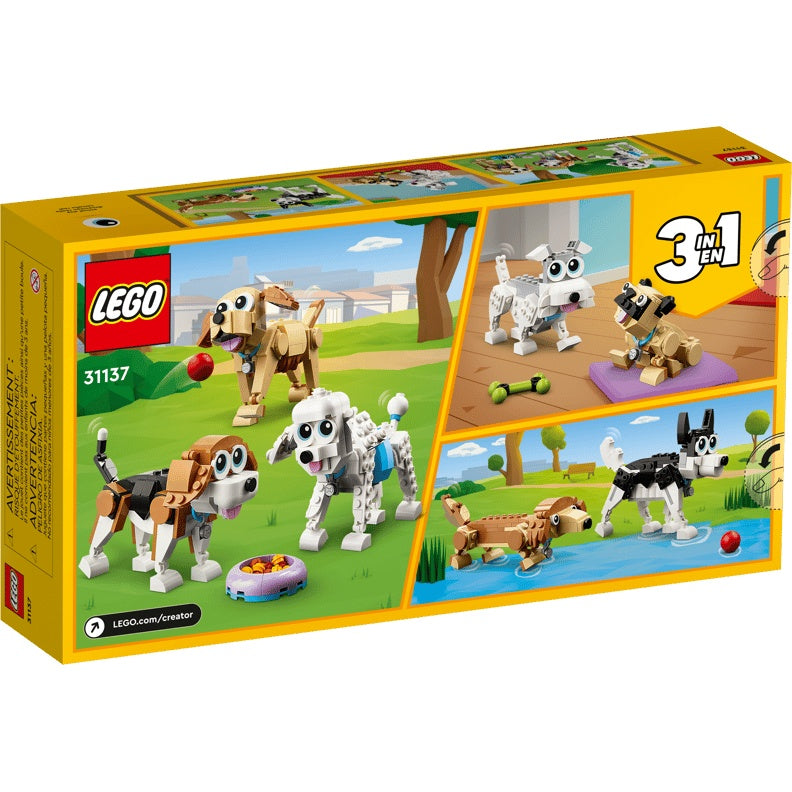 31137 Adorable Dogs
