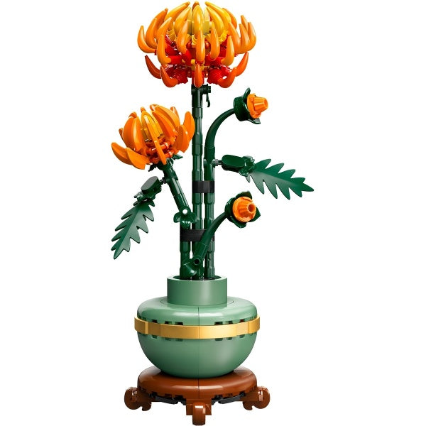 105665 10368 Chrysanthemum (Pre-Owned)