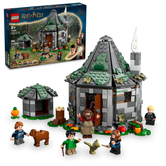 76428 Hagrid's Hut: an Unexpected Visit