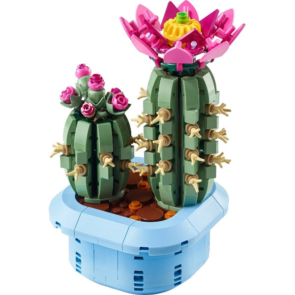 11509 Flowering Cactus (Pre-Owned)