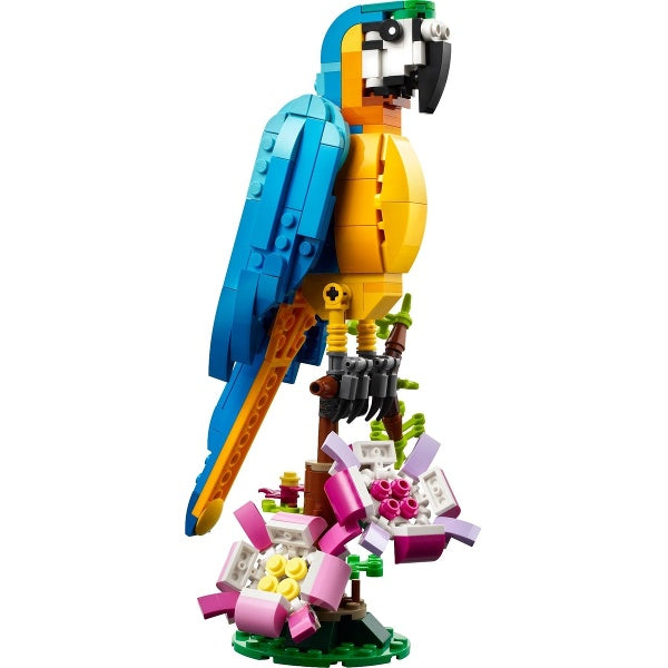31136 Exotic Parrot (Pre-Owned)