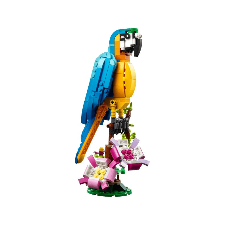 31136 Exotic Parrot