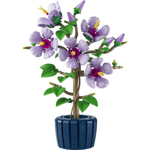 10372 Hibiscus
