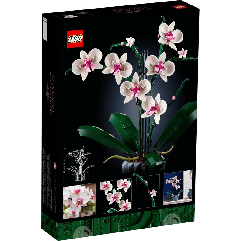 10311 Orchid