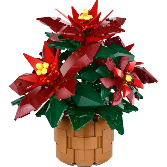 10370 Poinsettia (Pre-Owned)