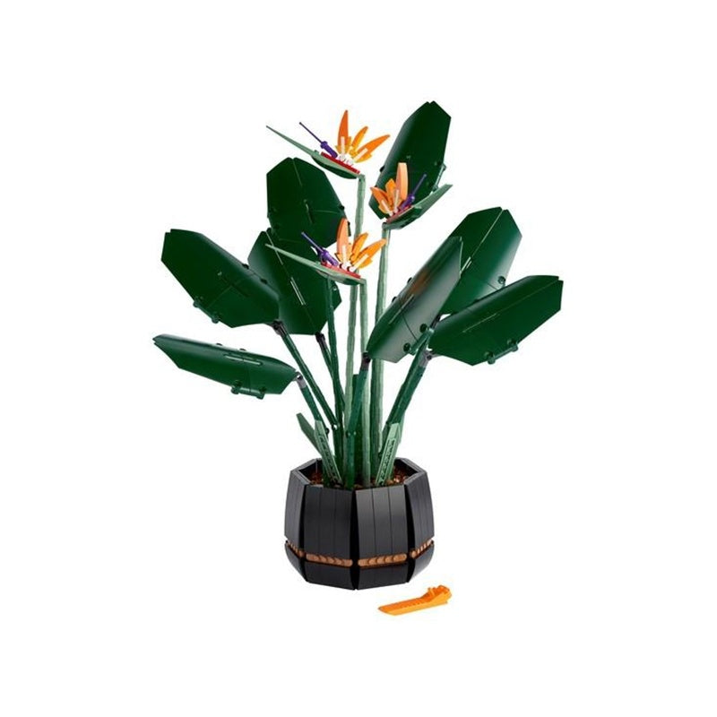 10289 Bird of Paradise (Pre-Owned)