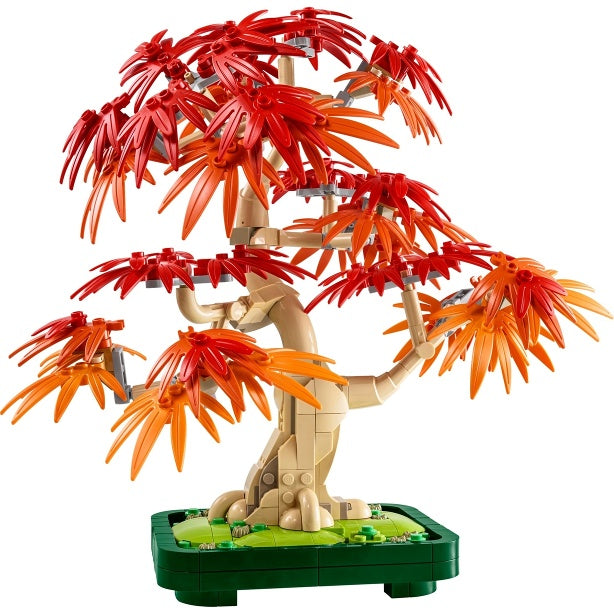 10348 Japanese Maple Tree (Pre-Owned)