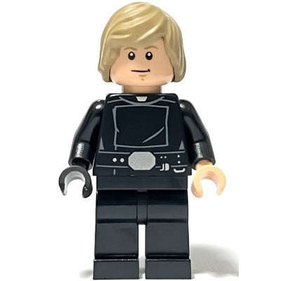 sw1262 Luke Skywalker - Jedi Master, Shaggy Hair