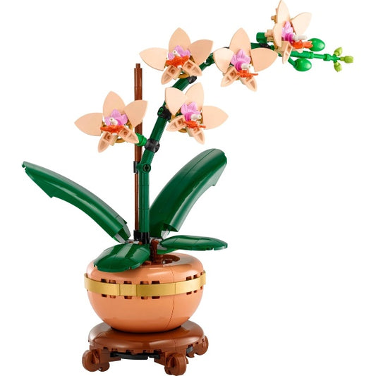 10343 Mini Orchid (Pre-Owned)