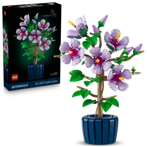 10372 Hibiscus