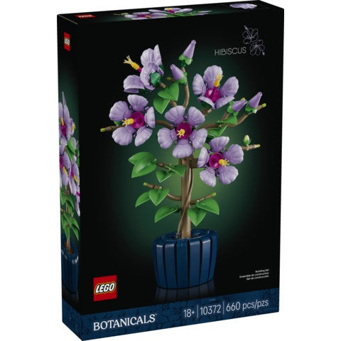 10372 Hibiscus