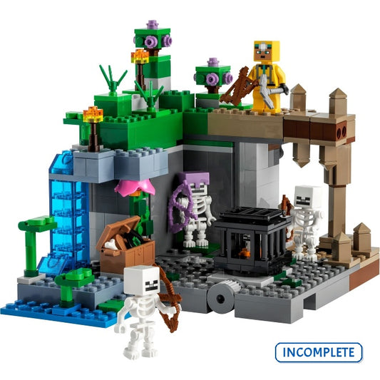21189 The Skeleton Dungeon (Incomplete Pre-Owned, Read Details)