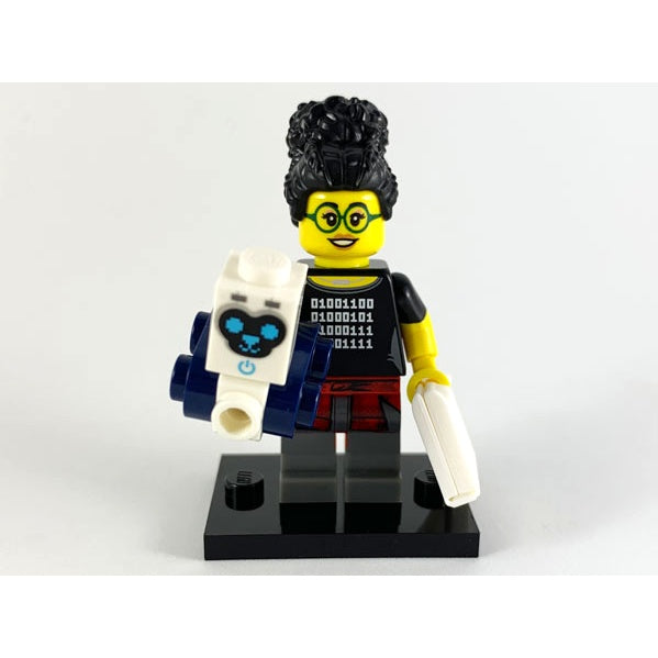 col19-5 Programmer