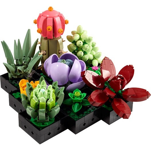10309 Succulents (Pre-Owned)