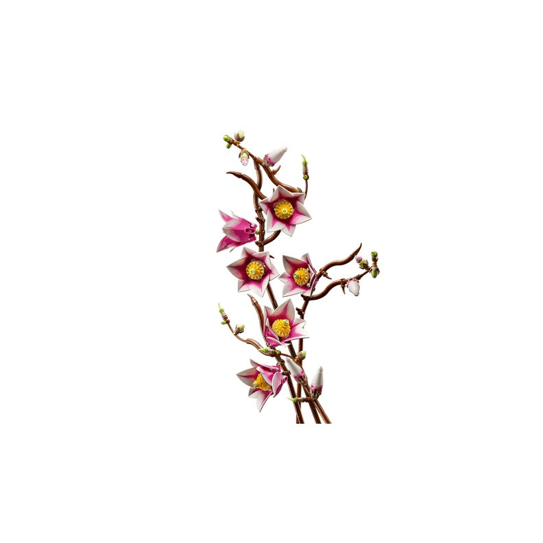 11510 Magnolia Branches