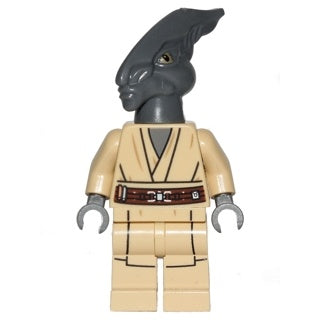sw0480 Coleman Trebor