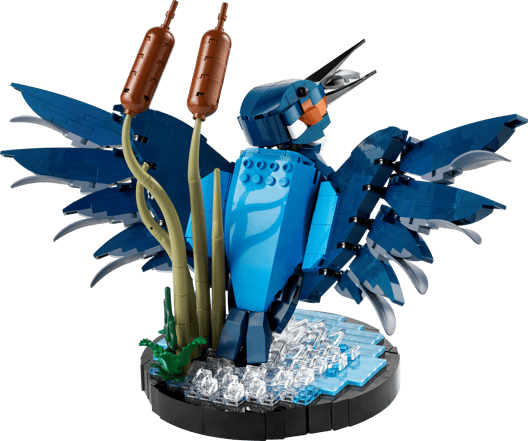 10331 Kingfisher