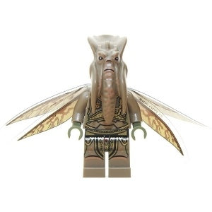 sw0474 Poggle the Lesser